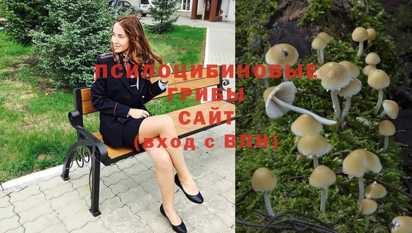 герыч Алексин