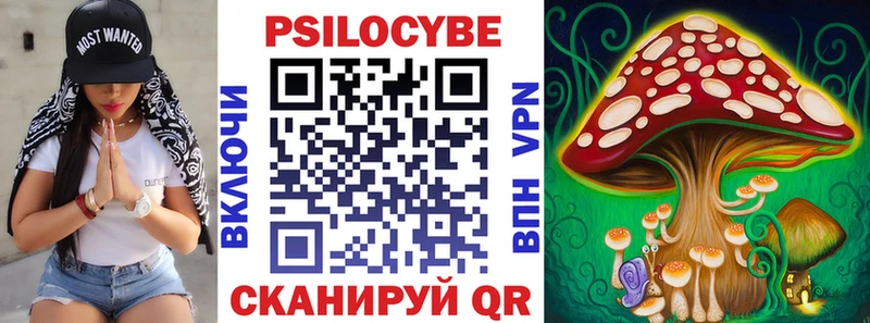 Галлюциногенные грибы Cubensis  где купить наркотик  Зеленоградск 